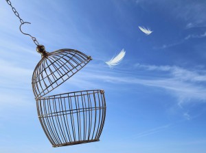 Break-Free